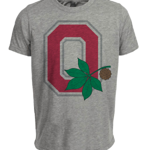 Ohio State Buckeyes Retro 1973 Artwork Heather Gray Sublimated T-Shirt
