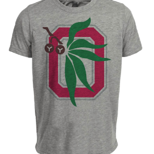 Ohio State Buckeyes Retro 1968 Artwork Heather Gray Sublimated T-Shirt