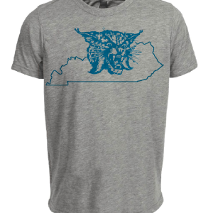 Kentucky Wildcats Retro 1973 Artwork Heather Gray Sublimated T-Shirt