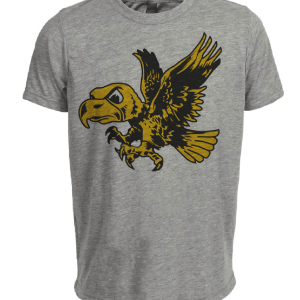 Iowa Hawkeyes Retro 1956 Artwork Heather Gray Sublimated T-Shirt