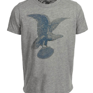 Philadelphia Eagles Retro Football 1933 Artwork Heather Gray Sublimated T-Shirt