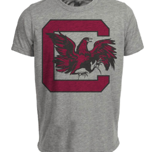 South Carolina Gamecocks Retro 1961 Artwork Heather Gray Sublimated T-Shirt