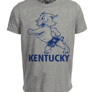 Kentucky Wildcats Retro 1963 Artwork Heather Gray Sublimated T-Shirt