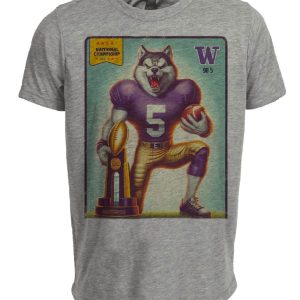 Washington Huskies Vintage National Football Champions Artwork Heather Gray Sublimated T-Shirt