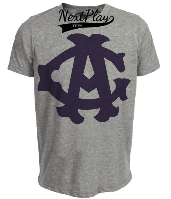 Chicago American Giants Retro Negro National League Baseball 1920 Artwork Heather Gray Sublimated T-Shirt