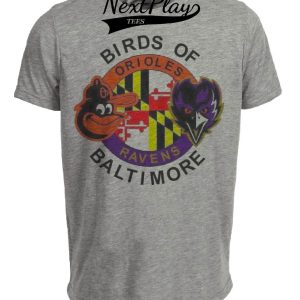 Baltimore Ravens Orioles Retro Birds Football Baseball Artwork Heather Gray Sublimated T-Shirt