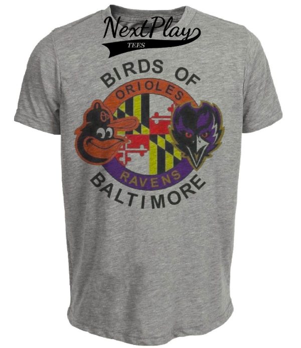 Baltimore Ravens Orioles Retro Birds Football Baseball Artwork Heather Gray Sublimated T-Shirt