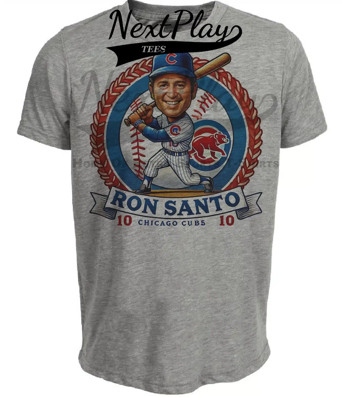 Chicago Cubs Ron Santo Exclusive Retro Baseball Artwork Heather Gray Sublimated T-Shirt