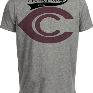 Arizona Chicago Cardinals Retro Football 1920 Artwork Heather Gray Sublimated T-Shirt