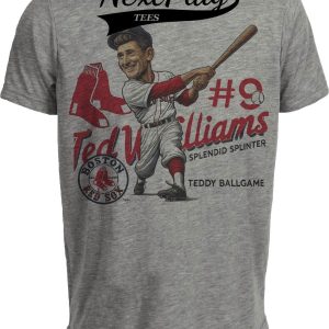 Boston Red Sox Ted Williams Teddy Ballgame Exclusive Retro Baseball Artwork Heather Gray Sublimated T-Shirt