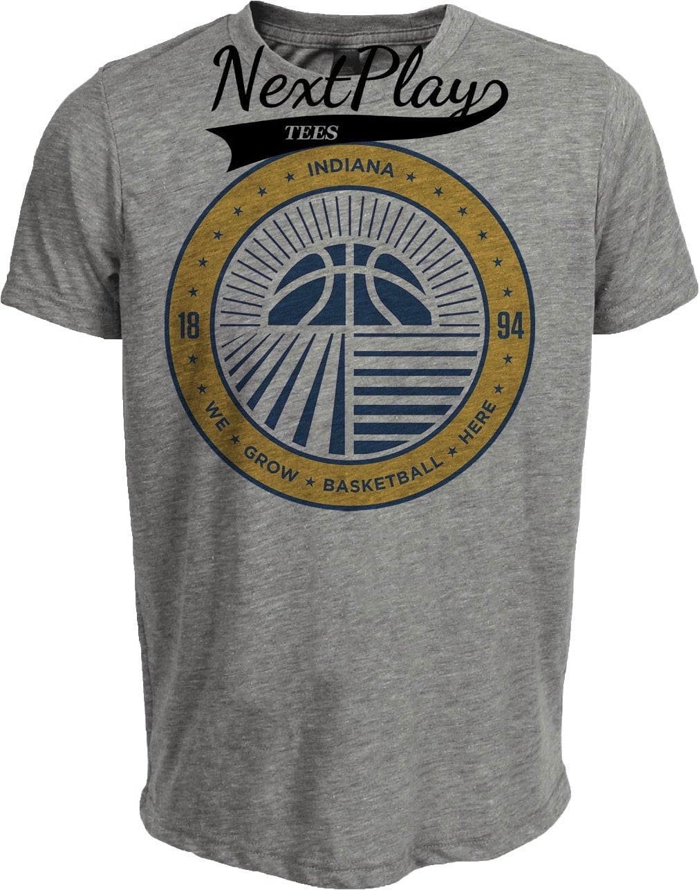 Indiana Pacers Retro Grow Basketball Here Artwork Heather Gray Sublimated T-Shirt