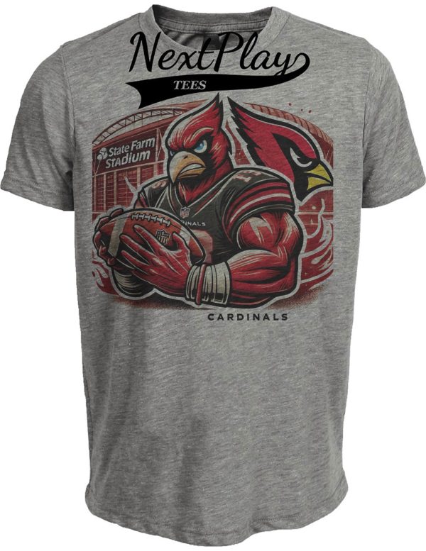 Arizona Cardinals Exclusive Retro Football Fierce Artwork Heather Gray Sublimated T-Shirt