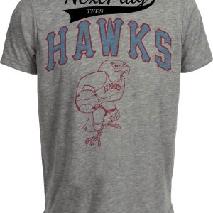 Atlanta Hawks Retro Basketball 1967 Artwork Heather Gray Sublimated T-Shirt