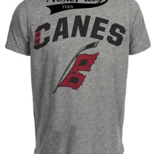 Carolina Hurricanes Canes Retro Hockey Gray Sublimated T-Shirt
