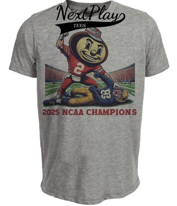 Ohio State Buckeyes vs. Notre Dame Fighting Irish Exclusive Retro Rivalries Champions Playoff Football Artwork Heather Gray Sublimated T-Shirt