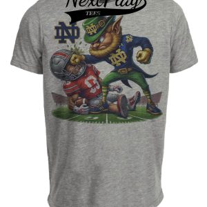 Notre Dame Fighting Irish vs. Ohio State Buckeyes Exclusive Retro Rivalries Playoff Football Haymaker Artwork Heather Gray Sublimated T-Shirt