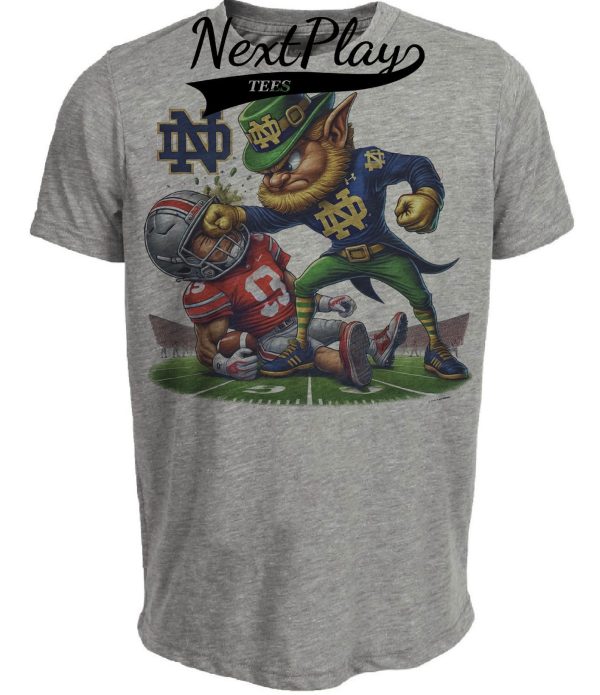 Notre Dame Fighting Irish vs. Ohio State Buckeyes Exclusive Retro Rivalries Playoff Football Haymaker Artwork Heather Gray Sublimated T-Shirt