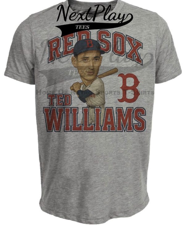 Boston Red Sox Retro Ted Williams Baseball 1953 Artwork Heather Gray Sublimated T-Shirt