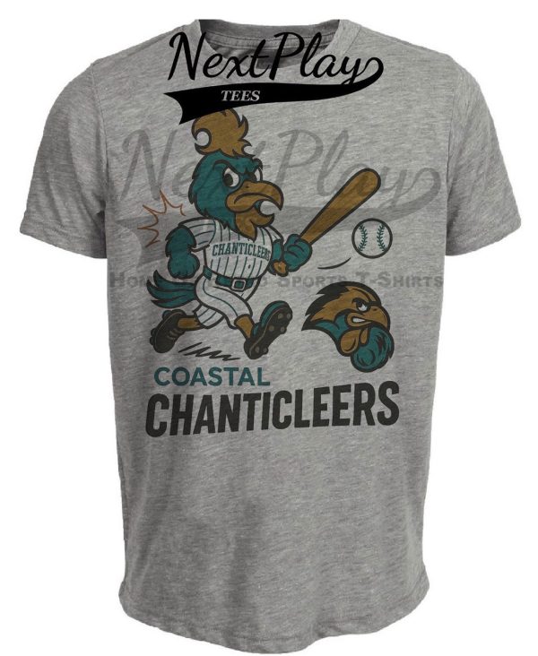 Coastal Carolina Chanticleers Retro Baseball Artwork Heather Gray Sublimated T-Shirt