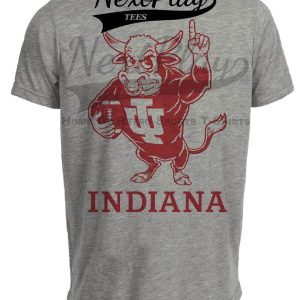 Indiana Hoosiers Retro Football 1965 Artwork Gray Sublimated T-Shirt