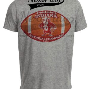 Indiana Hoosiers 2026 National Championship Football Gray Sublimated T-Shirt